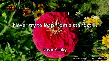 Englisches Zitat von Mason Cooley als Bild
