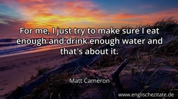Englisches Zitat von Matt Cameron als Bild