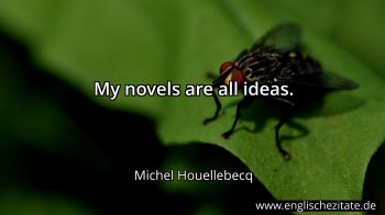 Englisches Zitat von Michel Houellebecq als Bild