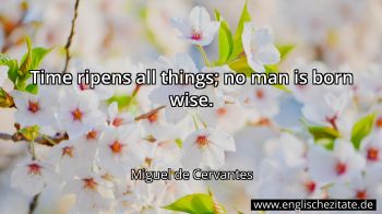 Englisches Zitat von Miguel de Cervantes als Bild