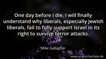 Englisches Zitat von Mike Gallagher als Bild