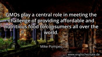 Englisches Zitat von Mike Pompeo als Bild