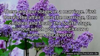 Englisches Zitat von Norman Mailer als Bild