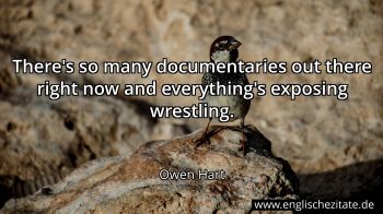 Englisches Zitat von Owen Hart als Bild