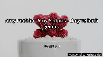 Englisches Zitat von Paul Rudd als Bild