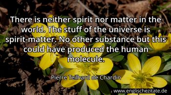 Englisches Zitat von Pierre Teilhard de Chardin als Bild