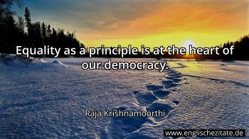 Englisches Zitat von Raja Krishnamoorthi als Bild