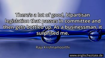 Englisches Zitat von Raja Krishnamoorthi als Bild