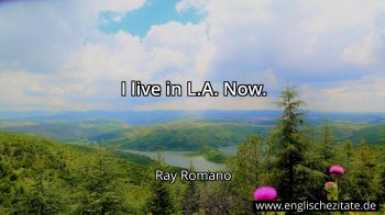 Englisches Zitat von Ray Romano als Bild
