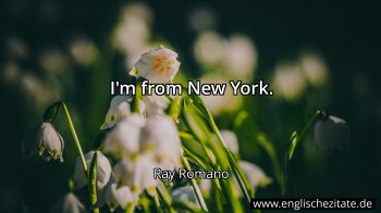 Englisches Zitat von Ray Romano als Bild