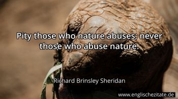 Englisches Zitat von Richard Brinsley Sheridan als Bild