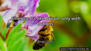 Englisches Zitat von Ringo Starr als Bild