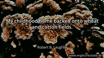 Englisches Zitat von Robert B. Laughlin als Bild