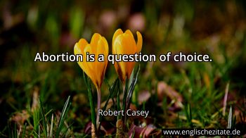 Englisches Zitat von Robert Casey als Bild
