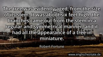 Englisches Zitat von Robert Fortune als Bild