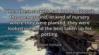 Englisches Zitat von Robert Fortune als Bild