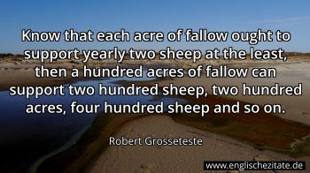 Englisches Zitat von Robert Grosseteste als Bild