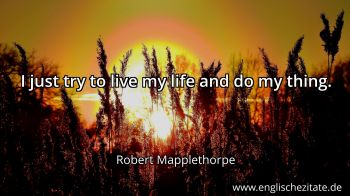 Englisches Zitat von Robert Mapplethorpe als Bild