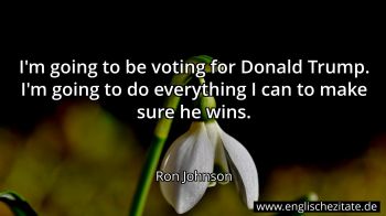 Englisches Zitat von Ron Johnson als Bild