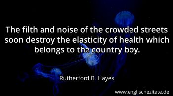 Englisches Zitat von Rutherford B. Hayes als Bild