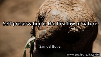 Englisches Zitat von Samuel Butler als Bild
