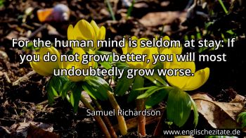Englisches Zitat von Samuel Richardson als Bild
