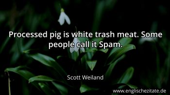 Englisches Zitat von Scott Weiland als Bild