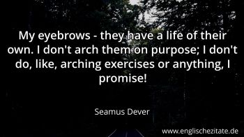 Englisches Zitat von Seamus Dever als Bild