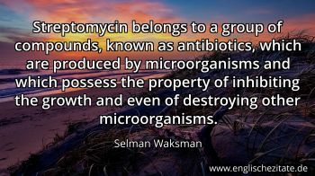 Englisches Zitat von Selman Waksman als Bild