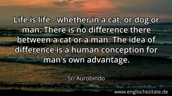 Englisches Zitat von Sri Aurobindo als Bild