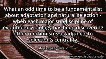 Englisches Zitat von Stephen Jay Gould als Bild