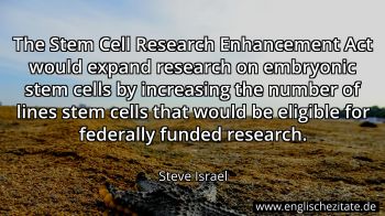 Englisches Zitat von Steve Israel als Bild