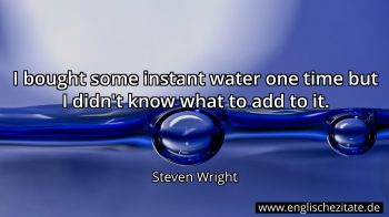 Englisches Zitat von Steven Wright als Bild