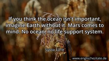 Englisches Zitat von Sylvia Earle als Bild