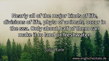 Englisches Zitat von Sylvia Earle als Bild