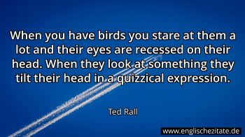 Englisches Zitat von Ted Rall als Bild