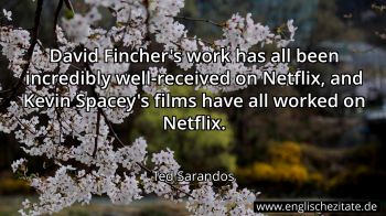 Englisches Zitat von Ted Sarandos als Bild