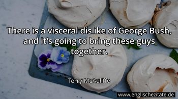 Englisches Zitat von Terry McAuliffe als Bild