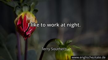 Englisches Zitat von Terry Southern als Bild