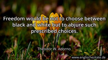 Englisches Zitat von Theodor W. Adorno als Bild