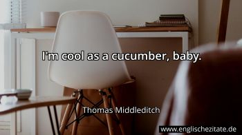 Englisches Zitat von Thomas Middleditch als Bild