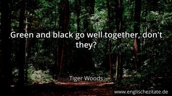 Englisches Zitat von Tiger Woods als Bild