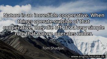 Englisches Zitat von Tom Shadyac als Bild
