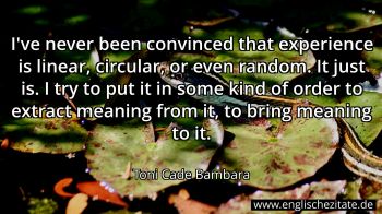Englisches Zitat von Toni Cade Bambara als Bild