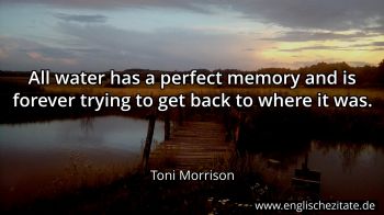 Englisches Zitat von Toni Morrison als Bild