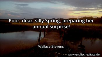 Englisches Zitat von Wallace Stevens als Bild