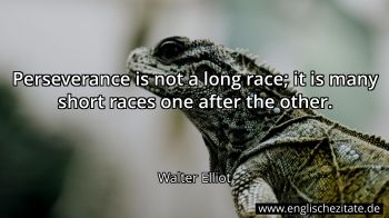 Englisches Zitat von Walter Elliot als Bild