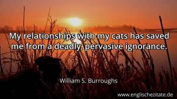 Englisches Zitat von William S. Burroughs als Bild