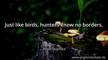 Englisches Zitat von Wole Soyinka als Bild