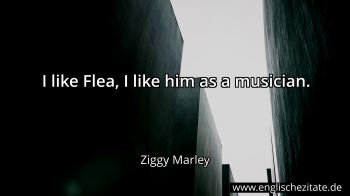 Englisches Zitat von Ziggy Marley als Bild